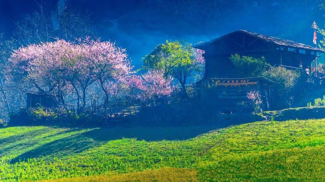讨厌爸爸该怎么备注?—专业知识问答网页